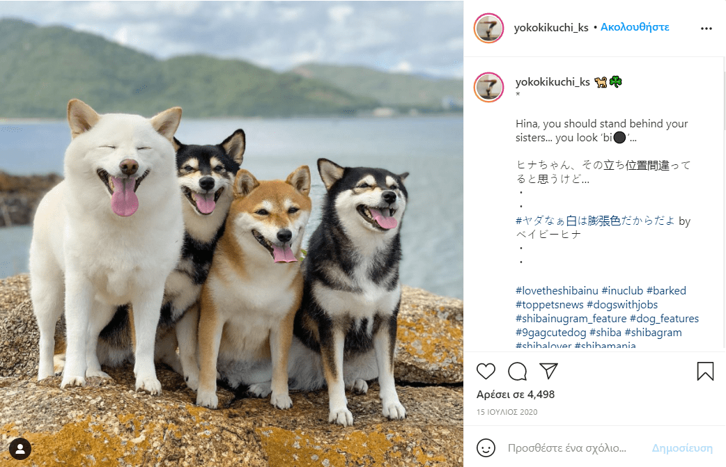 σκύλος_χαλάει_όλες_τις_εικόνες_με_τις_αστείες γκριμάτσες_του_