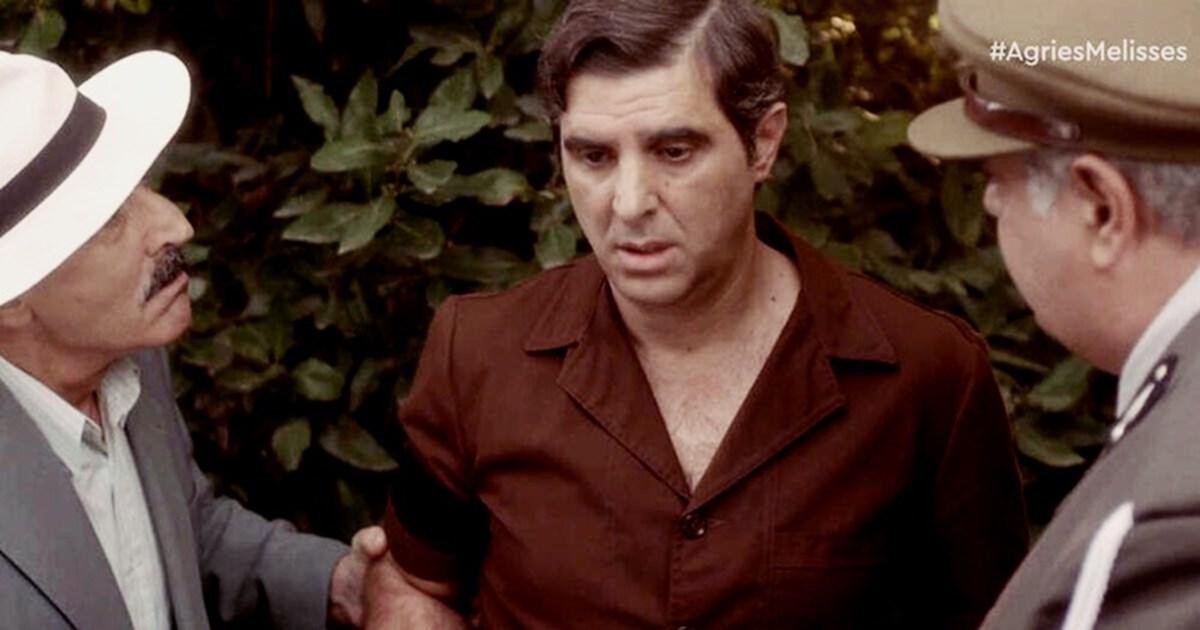 Άγριες Μέλισσες: Ο Μιλτιάδης μπαίνει στο ψυχιατρείο – Η Ανέτ καταρρέει