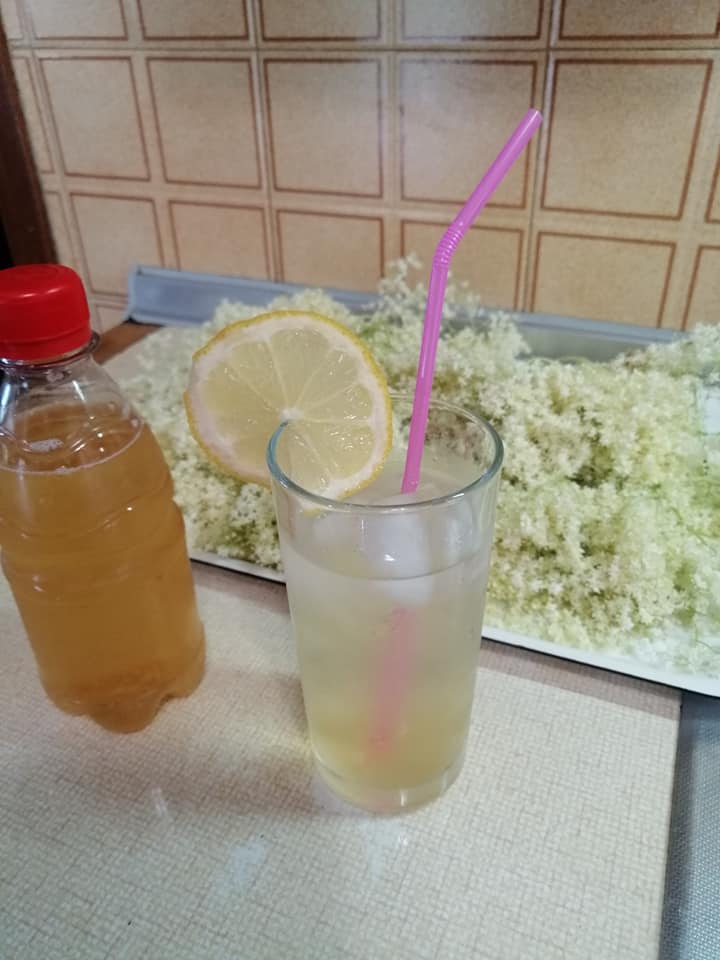 Ρόφημα_από_Αφροξυλιά_