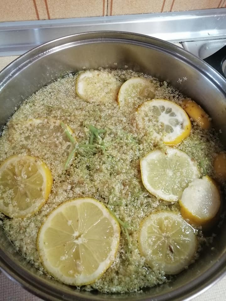 Ρόφημα_από_Αφροξυλιά_