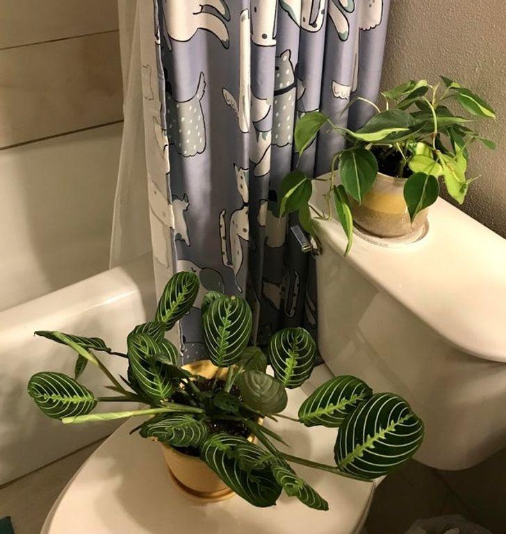 πράγματα_που_δεν_πρέπει_να_έχουμε_στο_μπάνιο_