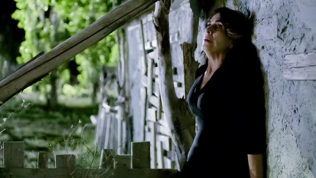 Άγριες Μέλισσες τελευταία επεισόδια και φωνογραφίες -Β κύκλος: 148 , 149 , 150 , 151