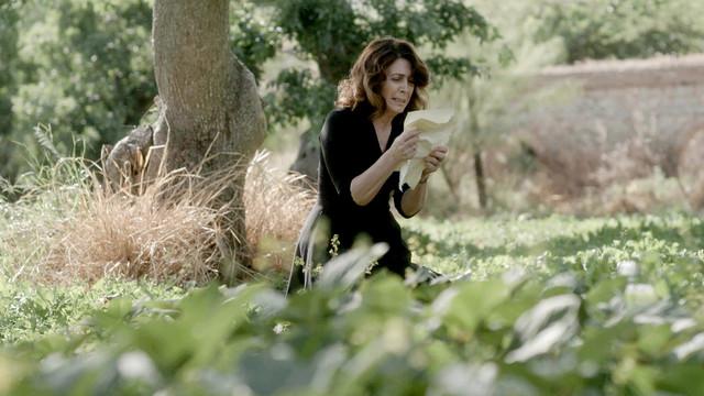 Άγριες Μέλισσες τελευταία επεισόδια και φωνογραφίες -Β κύκλος: 148 , 149 , 150 , 151