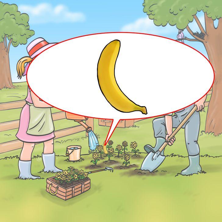 test παρατηρητικότητας_μπορείς_να_βρεις_το_λάθος_στις_11_φωτογραφίες_