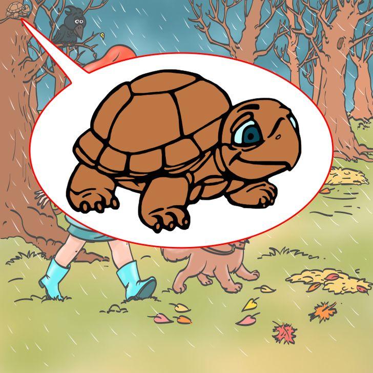 test παρατηρητικότητας_μπορείς_να_βρεις_το_λάθος_στις_11_φωτογραφίες_