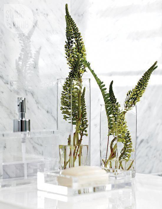 φυτά_εσωτερικού_χώρου_στο_μπάνιο_διακόσμηση_ιδέες_ φυτά_εσωτερικού_χώρου_στο_μπάνιο_διακόσμηση_ιδέες_