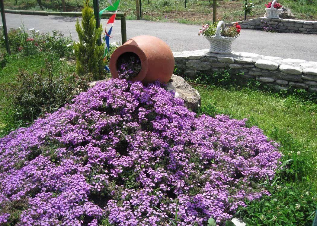 ιδέες_για_να_διακοσμήσεις_το_παρτέρι_του_κηπου_