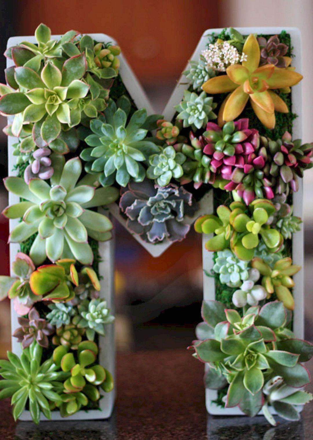 ιδέες_διακόσμησης_με_παχύφυτα_στο_σπίτι_