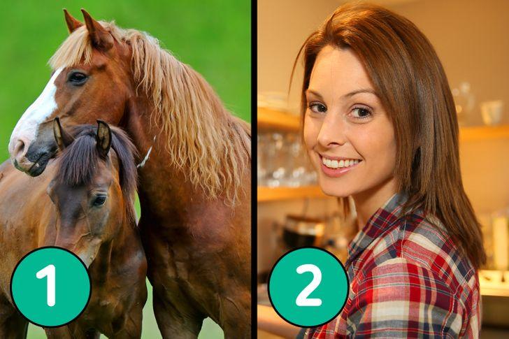 test_μάντεψε_τις_σωστές_απαντήσεις_στις_φωτογραφίες_ test_μάντεψε_τις_σωστές_απαντήσεις_στις_φωτογραφίες_