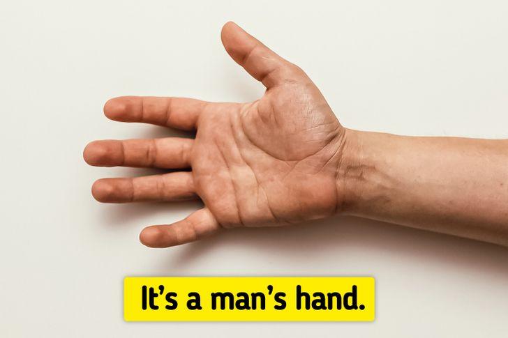 test_μάντεψε_τις_σωστές_απαντήσεις_στις_φωτογραφίες_ test_μάντεψε_τις_σωστές_απαντήσεις_στις_φωτογραφίες_