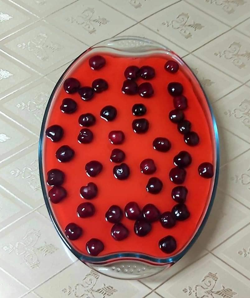 γλυκό ψυγείου_με ζελέ_κεράσι_