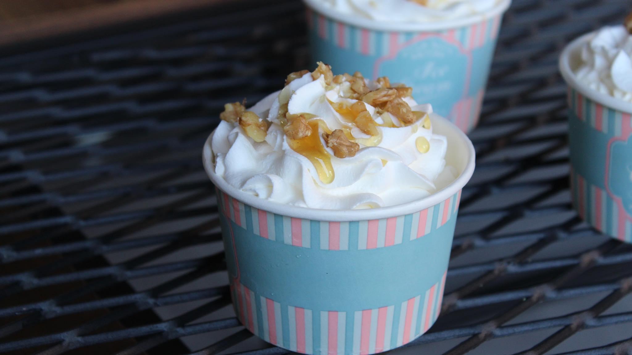 Frozen_ Yogurt_ βανίλια_