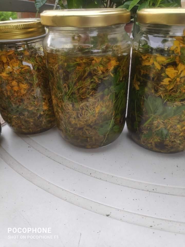 συνταγή_για_λάδι_από_σπαθόχορτο_ συνταγή_για_λάδι_από_σπαθόχορτο_