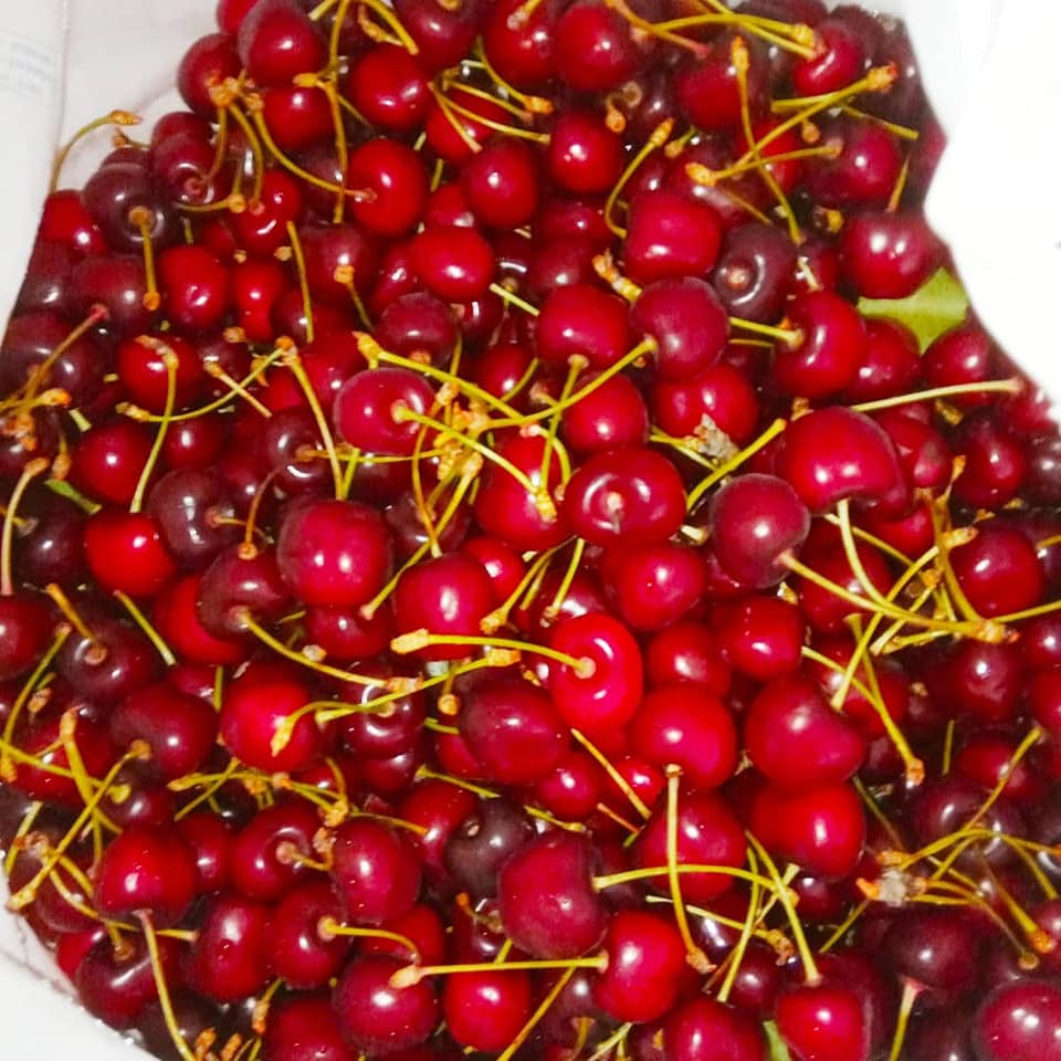 γλυκό_του_κουταλιού_βύσσινο_συνταγή_ γλυκό_του_κουταλιού_βύσσινο_συνταγή_