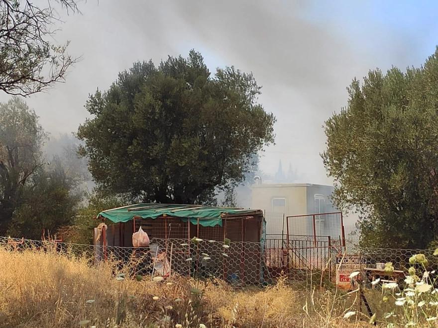 Κηφισιά: Η φωτιά καίει αυλές σπιτιών