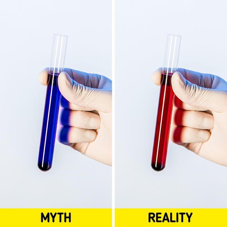 10_μύθοι_για_το_σώμα_ 10_μύθοι_για_το_σώμα_