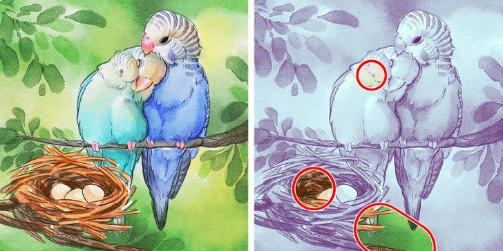 τεστ_παρατηρητικότητας_