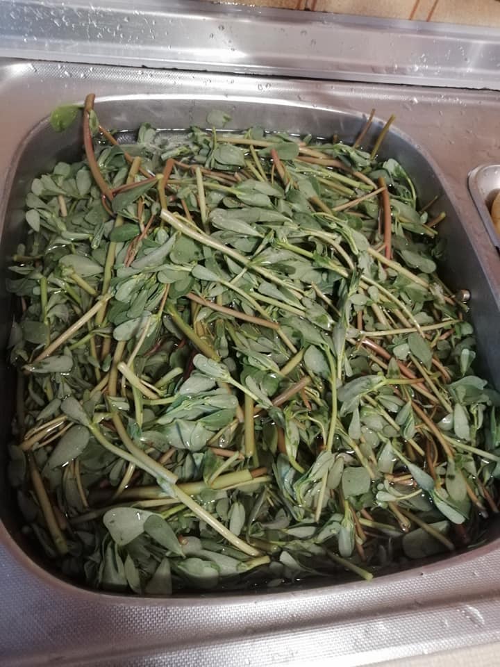 Γλιστρίδα- τουρσί-συνταγή-