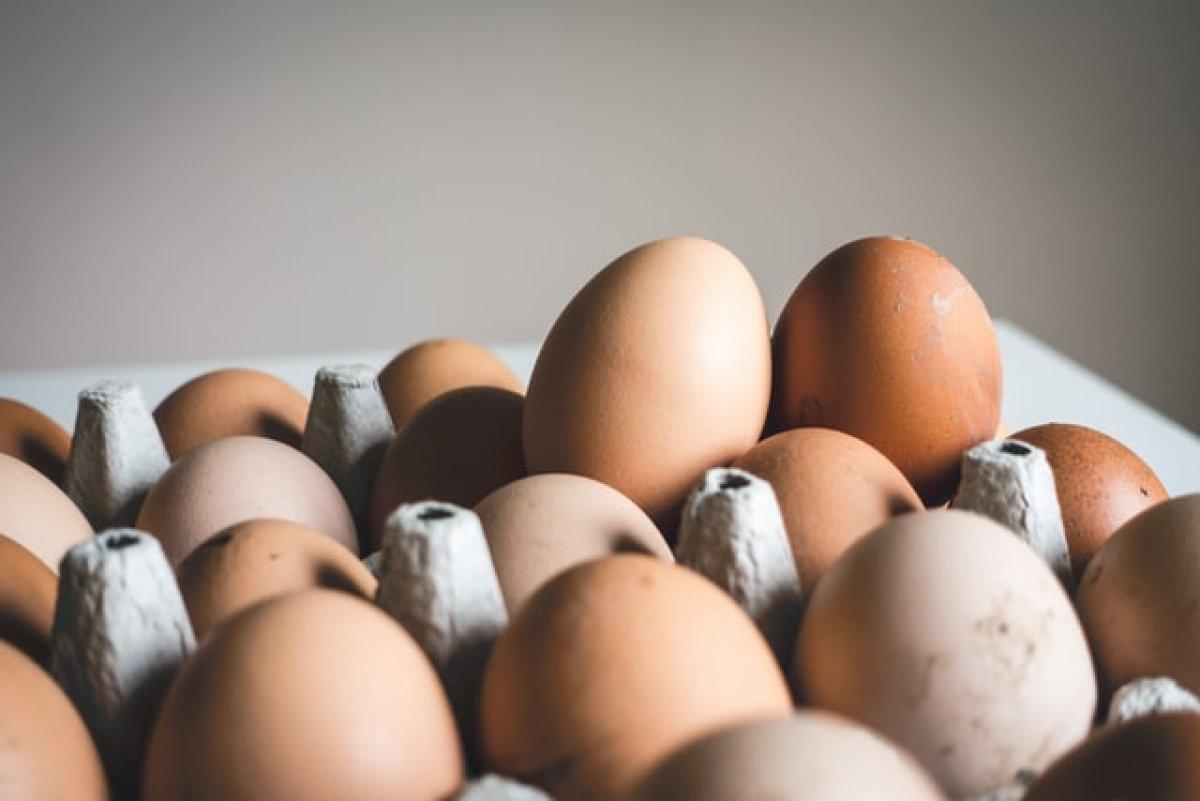 Ανακαλούνται χιλιάδες κοτόπουλα και βιολογικά αυγά