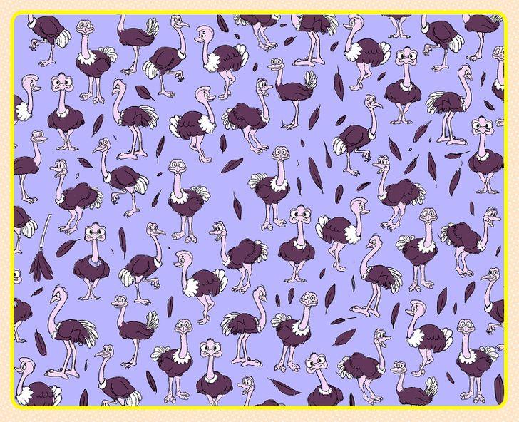 Τεστ_παρατηρητικότητας_