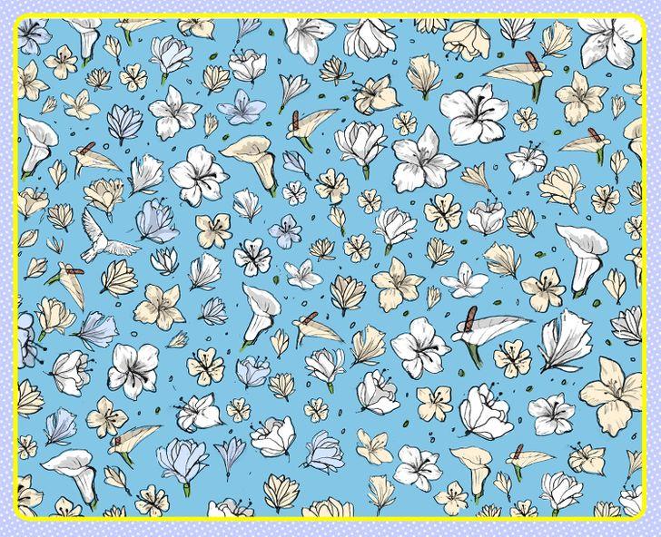 Τεστ_παρατηρητικότητας_