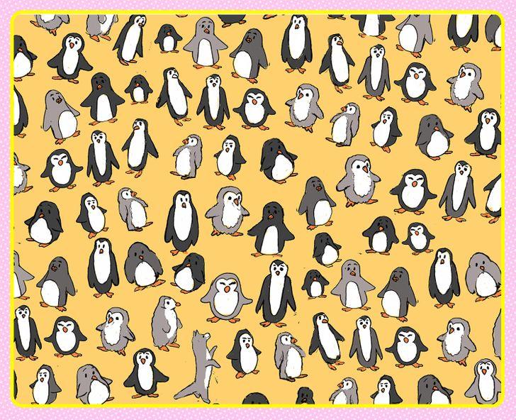 Τεστ_παρατηρητικότητας_