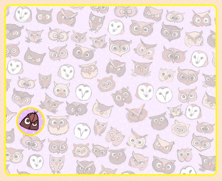 Τεστ_παρατηρητικότητας_