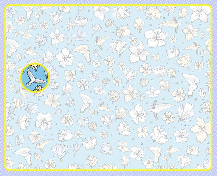 Τεστ_παρατηρητικότητας_