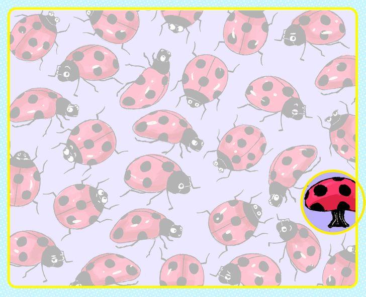 Τεστ_παρατηρητικότητας_