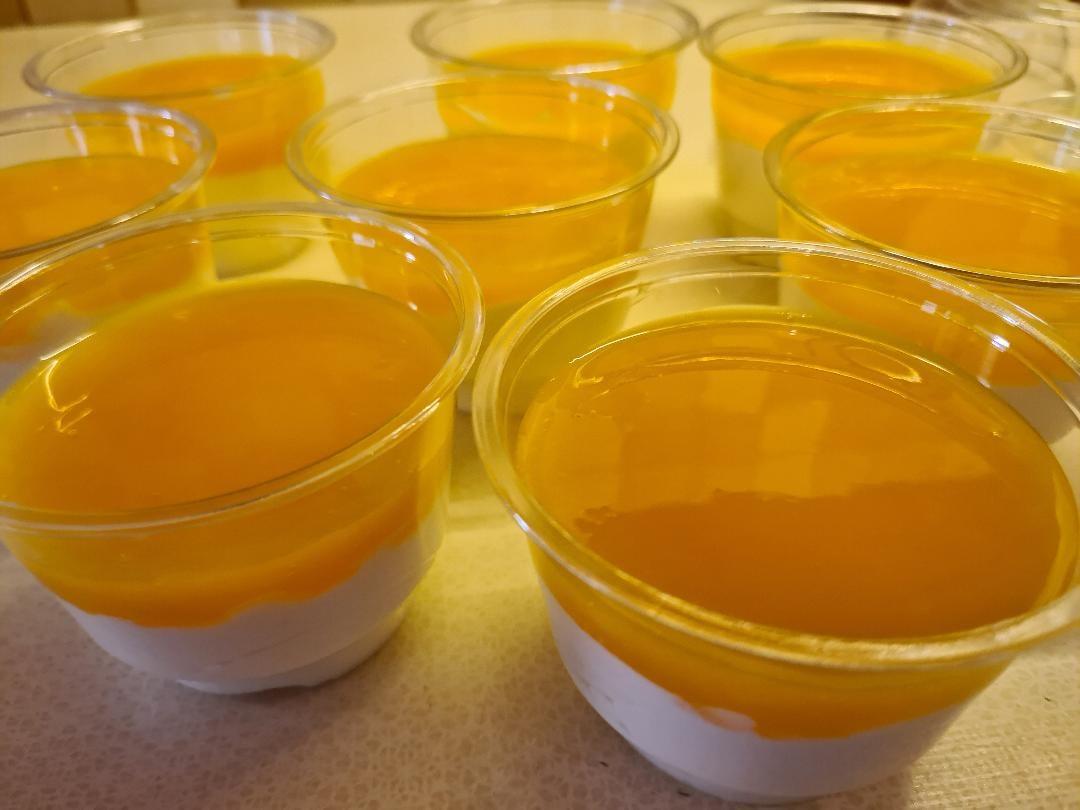 Μπαβαρουάζ-με μάνγκο-και-ζελέ -βερίκοκο-