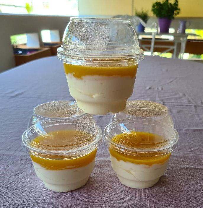 Μπαβαρουάζ-με μάνγκο-και-ζελέ -βερίκοκο-