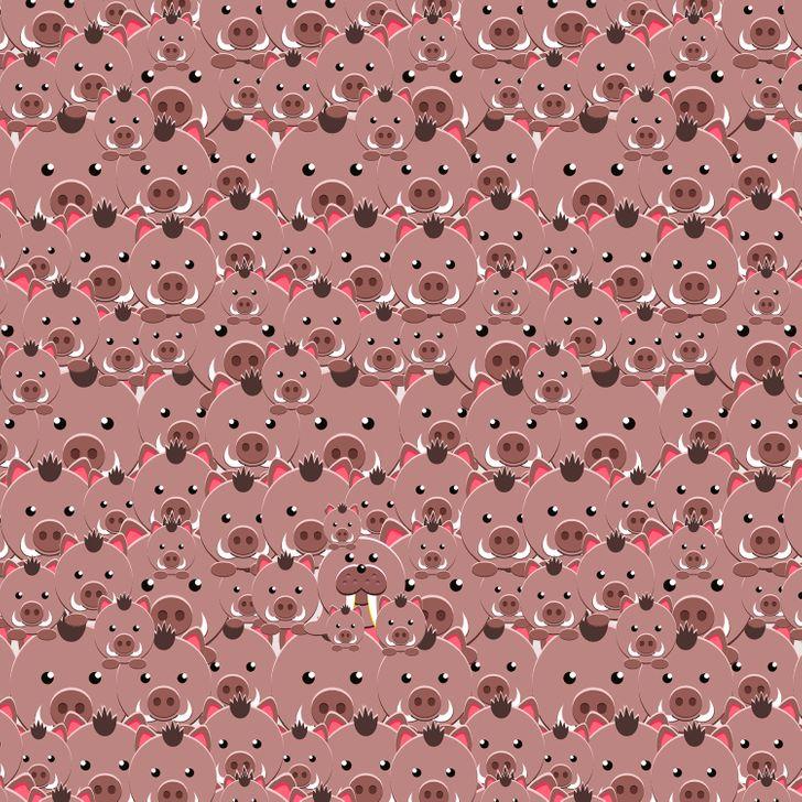 τεστ_παρατηρητικότητας_