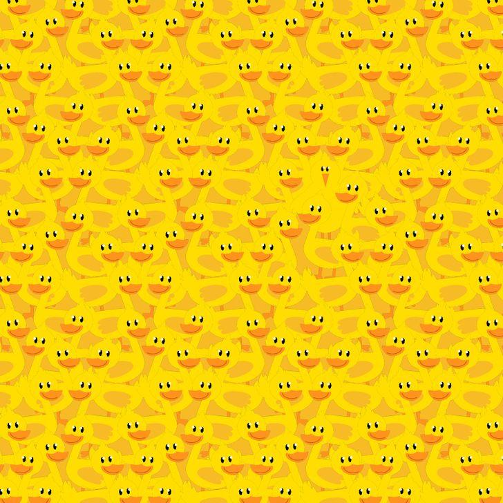 τεστ_παρατηρητικότητας_