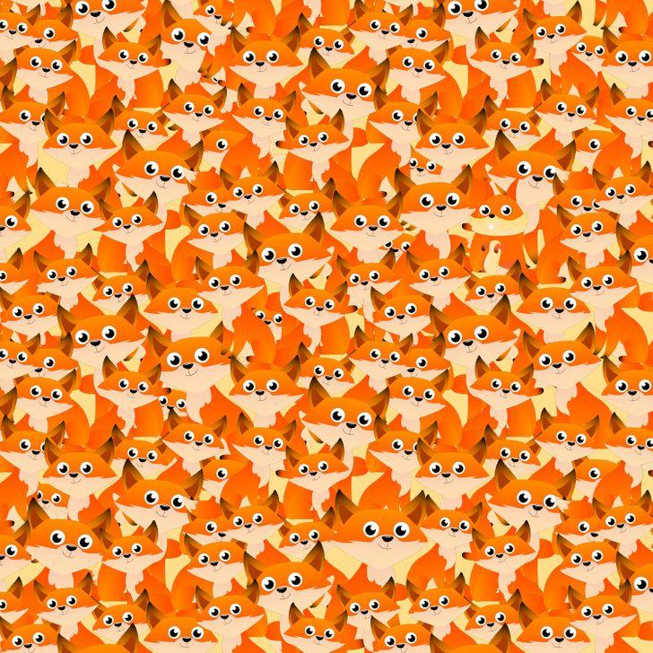 τεστ_παρατηρητικότητας_