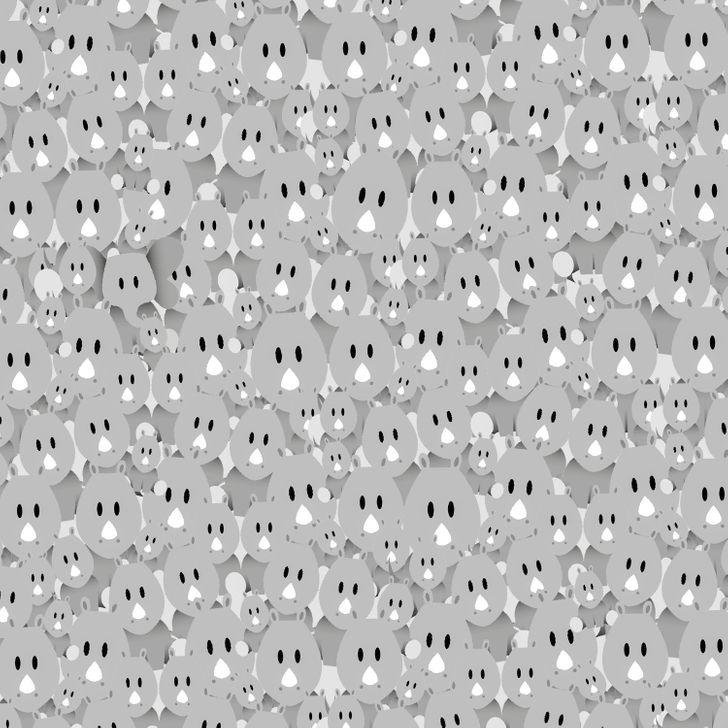 τεστ_παρατηρητικότητας_