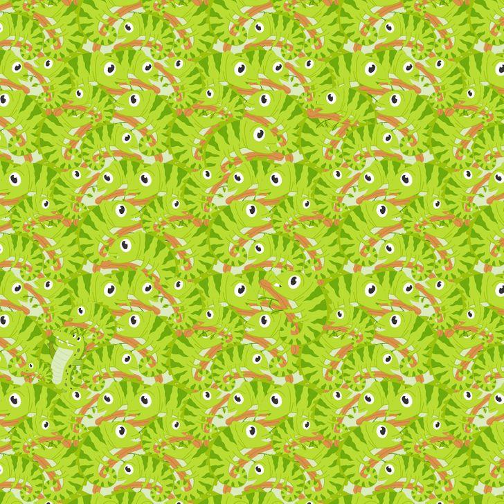 τεστ_παρατηρητικότητας_