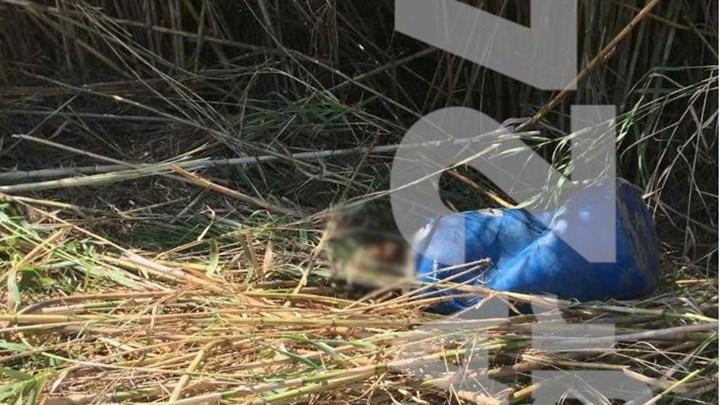 Φρίκη: Πτώμα βρέθηκε σε βαρέλι – Τι λέει ο αυτόπτης μάρτυρας