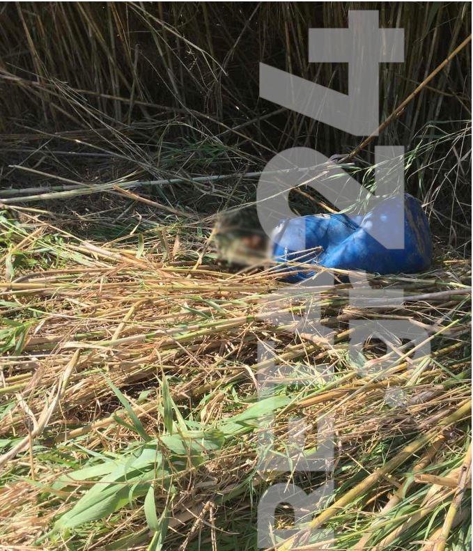 Φρίκη: Πτώμα βρέθηκε σε βαρέλι – Τι λέει ο αυτόπτης μάρτυρας