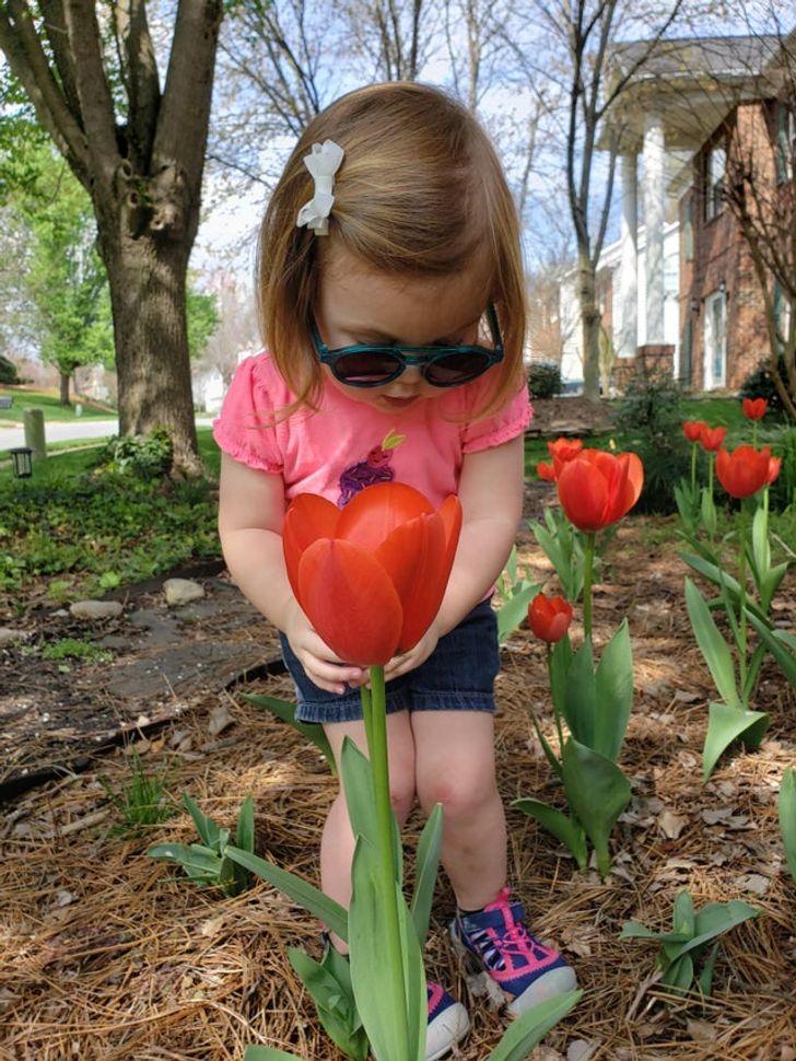 φωτογραφίες_που_θα_σας_δημιουργήσουν_ψευδαισθήσεις_