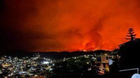 Φωτιά Εύβοια: Κάηκαν σπίτια σε Αγία Αννα και Αχλάδι (βίντεο)