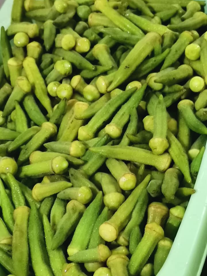 Ο τρόπος _για_ να_ καταψύξω_ τις _μπάμιες_