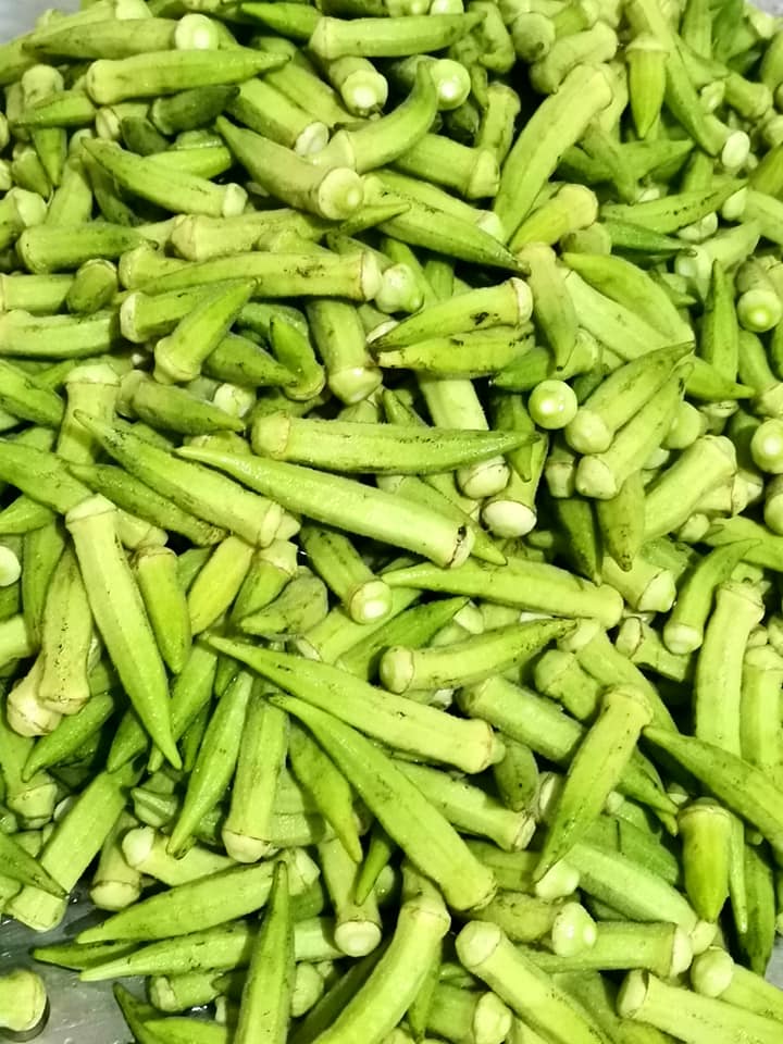 Ο τρόπος _για_ να_ καταψύξω_ τις _μπάμιες_