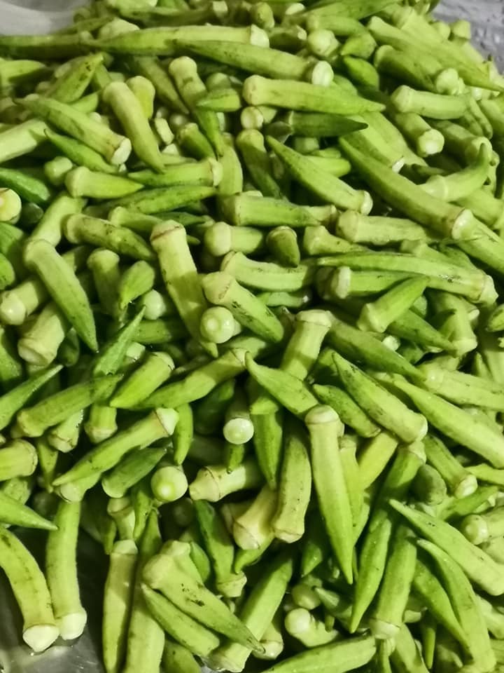 Ο τρόπος _για_ να_ καταψύξω_ τις _μπάμιες_