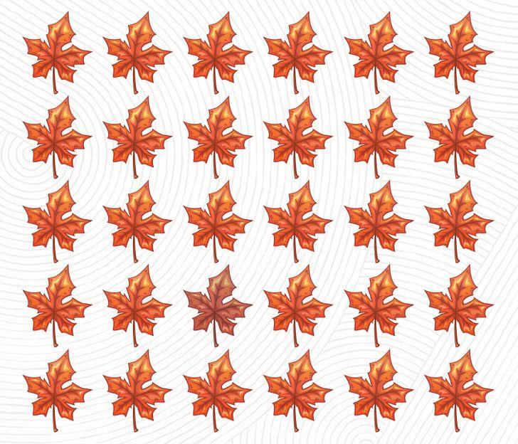 τεστ_παρατηρητικότητας_ τεστ_παρατηρητικότητας_