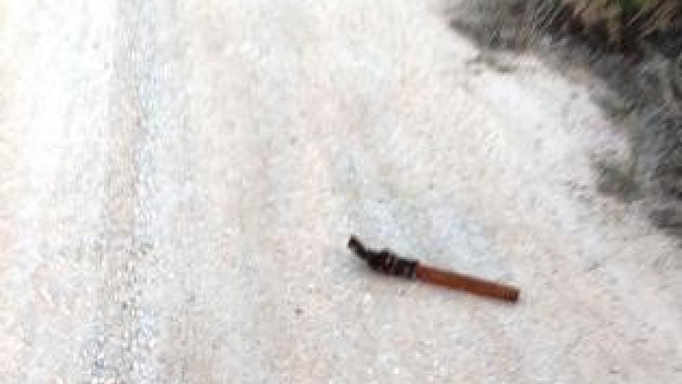 Τον σκότωσε με το ξύλινο πόδι της καρέκλας για να τον ληστέψει – Τον δράστη προδώσαν οι εργαστηριακές εξετάσεις