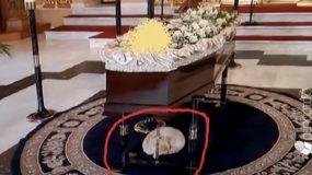 Απίστευτο : Γατάκι στην Κρήτη πηγαίνει σε κηδείες και παρηγορεί τους συγγενείς –  (video)