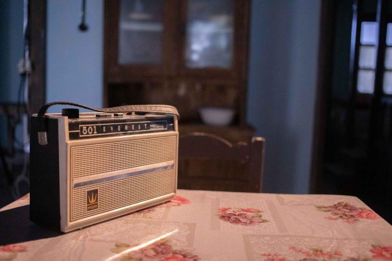 Άγριες Μέλισσες: Άγριες Μέλισσες: