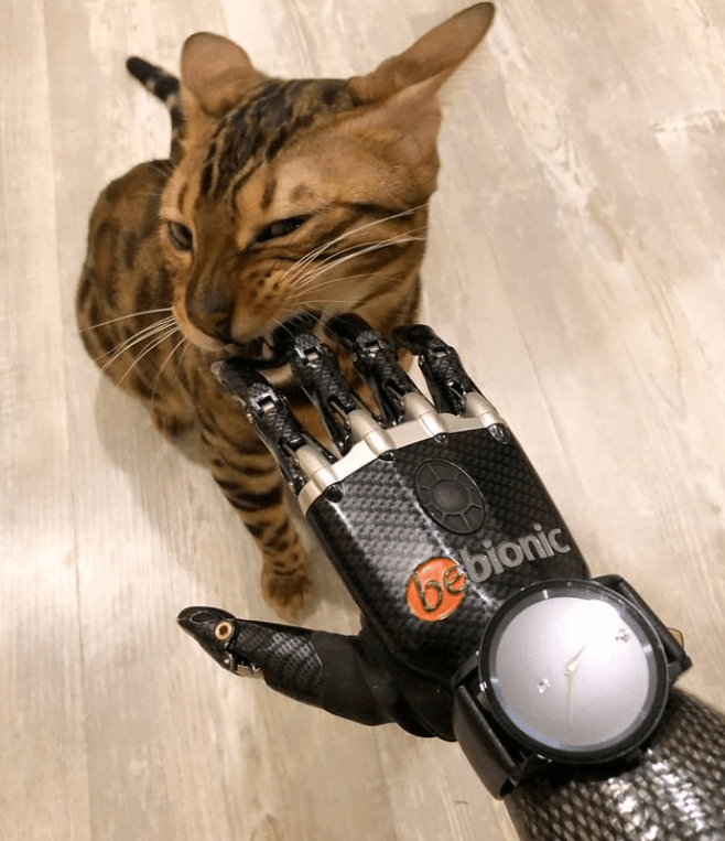 πρώην_θύμα_ενδοοικογενειακής_βίας_και_η_ιστορία_της_ πρώην_θύμα_ενδοοικογενειακής_βίας_και_η_ιστορία_της_