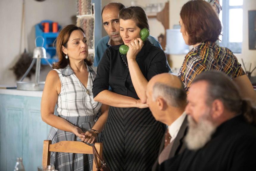 Άγριες Μέλισσες: