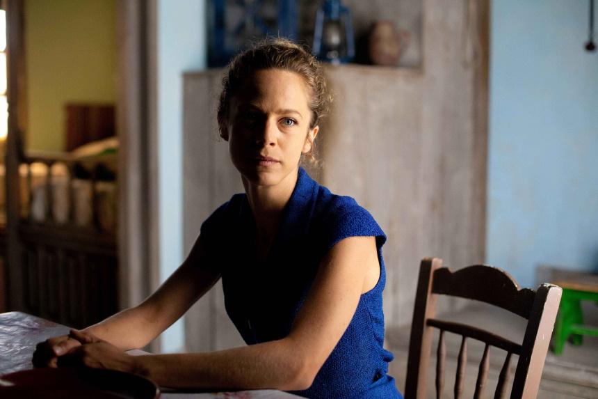 Άγριες Μέλισσες: